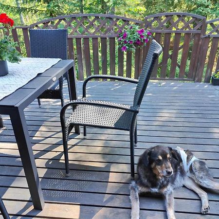Cozy Forest Retreat In Kuopio - Perfect For Families Work Trips Ngoại thất bức ảnh